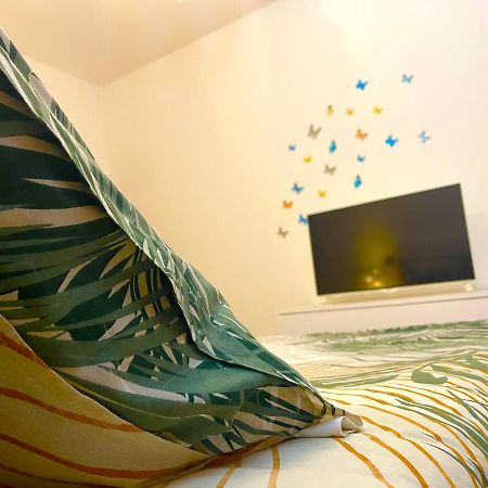蒙塔尼亚纳Ca' Del Sole - Attico Panoramico In Centro Storico公寓 外观 照片