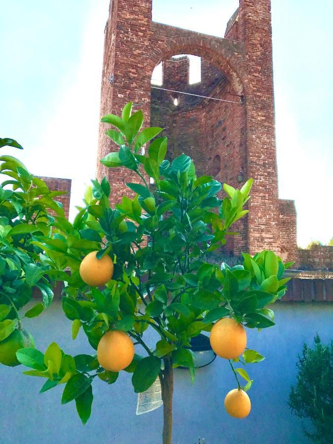 蒙塔尼亚纳Ca' Del Sole - Attico Panoramico In Centro Storico公寓 外观 照片